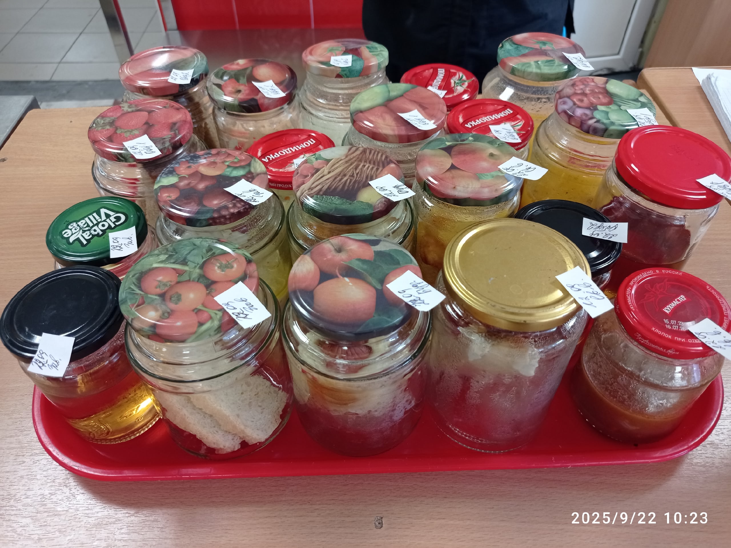 03.03.2025.jpg