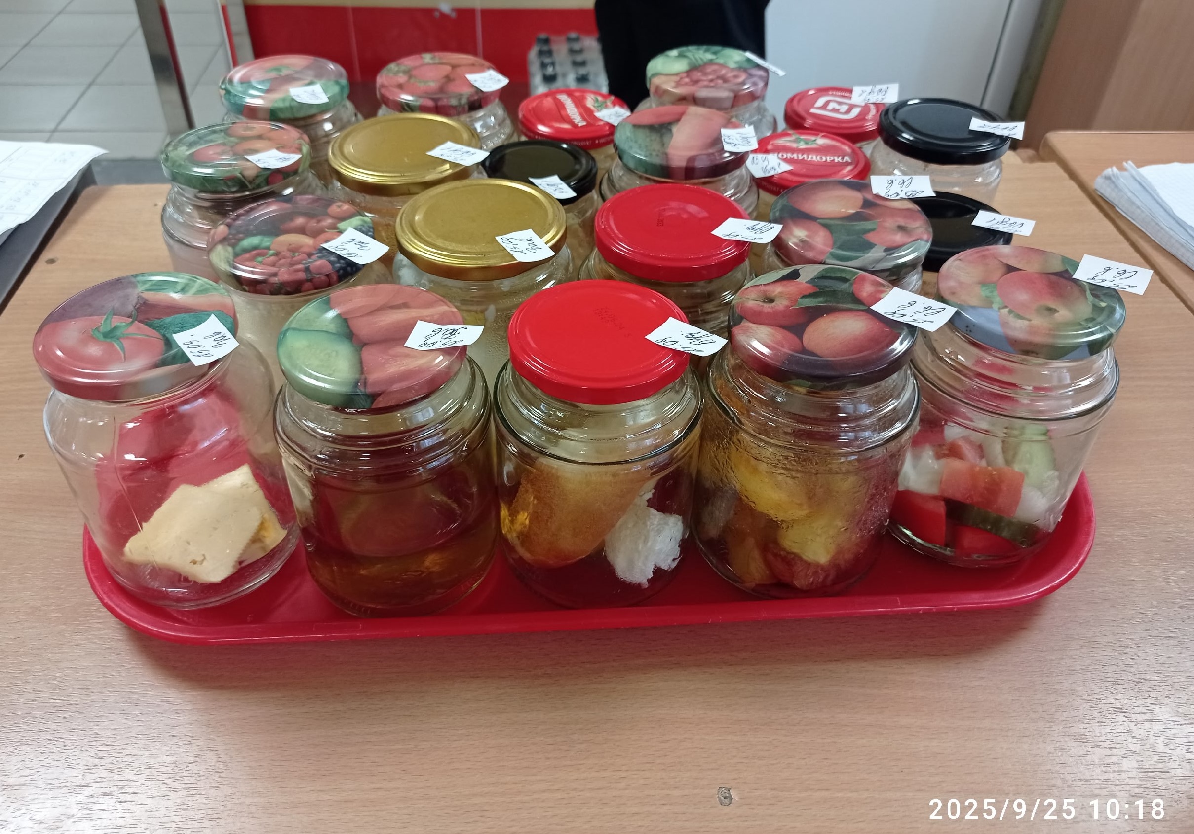 03.03.2025.jpg